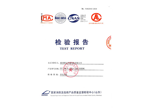 檢驗報告